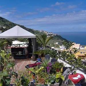https://san-antonio-tenerife.in-canary-islands.com